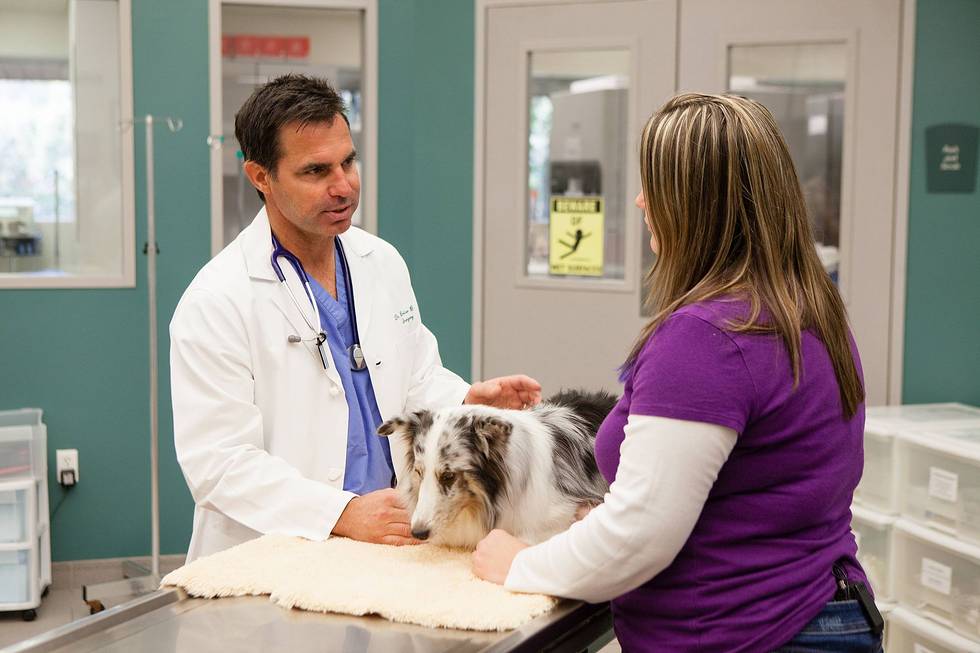 Dr Brian S Beale examining pet